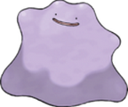 [Image: ditto.png]