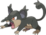 Rattata-alola