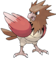 [Image: spearow.png]