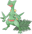 [Image: sceptile.png]