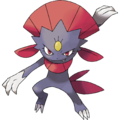 Weavile