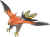 [Image: talonflame.png]